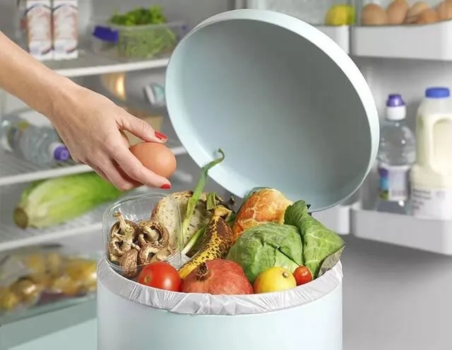 为什么越来越多的人看好厨房食物垃圾处理器的市场前景？
