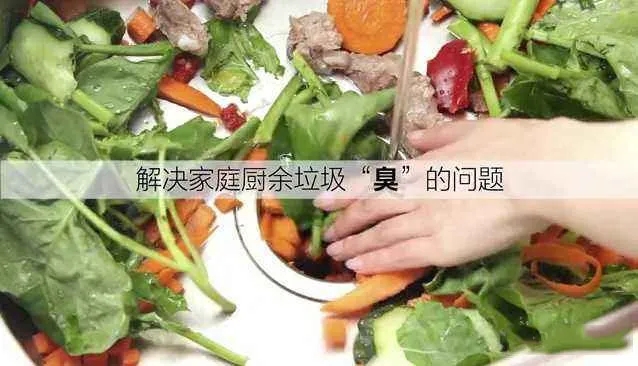 垃圾处理器怎么样？助力万千家庭解决厨余垃圾烦恼
