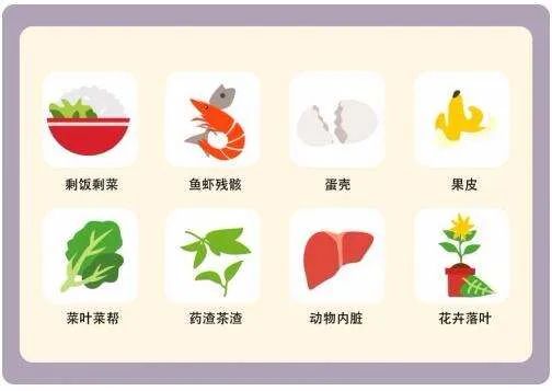 英利浦垃圾处理器为什么会得到越来越多人的喜爱？