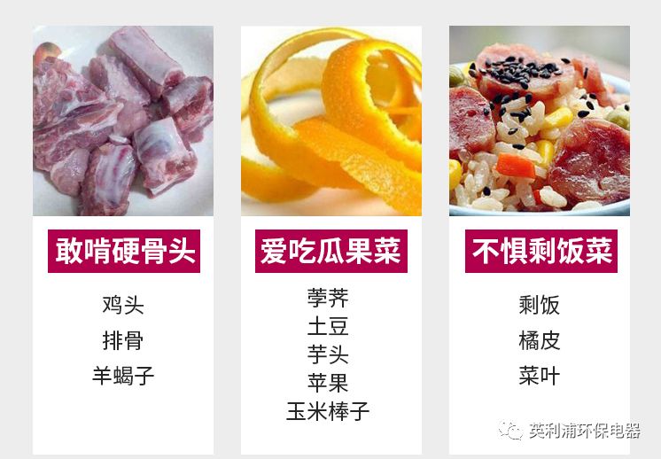 厨余垃圾脏乱臭 英利浦厨余垃圾处理器帮您解决
