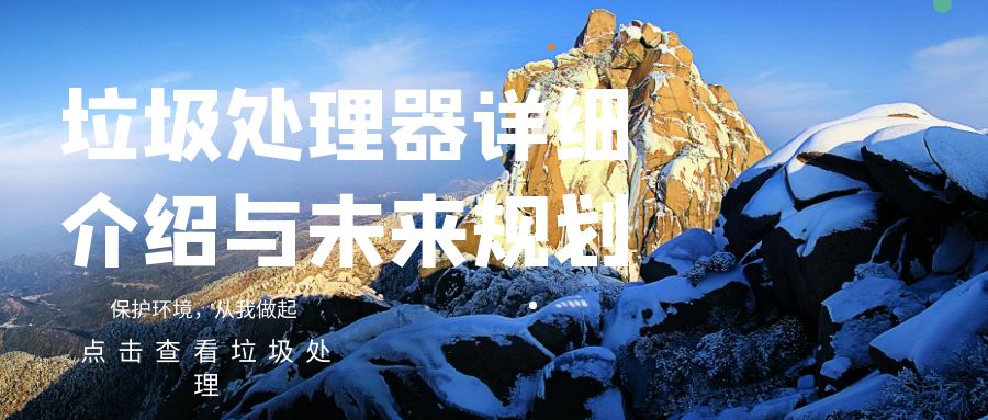 2024-2028年中国垃圾处理产业发展预测及投资分析报告 
